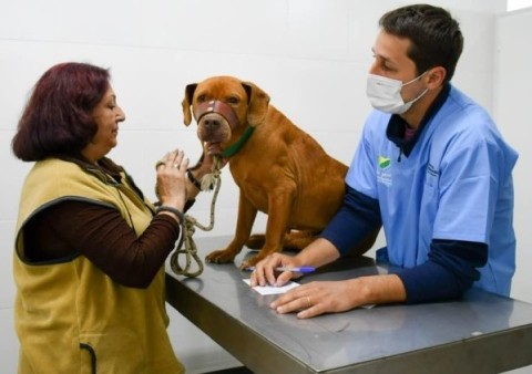 El Municipio organiza un encuentro para recibir donaciones para el Hospital Veterinario