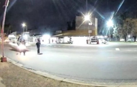 Estremecedor video: así fue atropellada la joven de 22 años que lucha por su vida