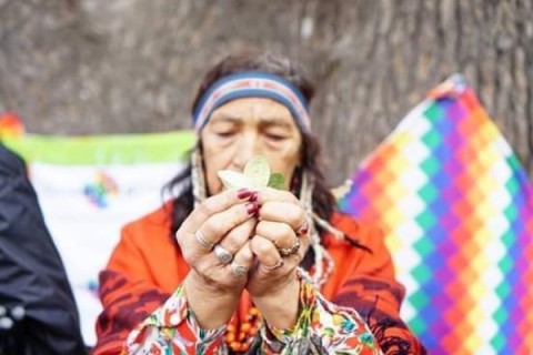 Aprobado en el HCD: agosto será el “mes del respeto y cuidado a la Pachamama”