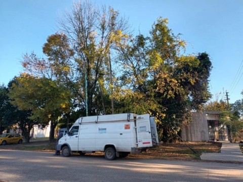 "Retrocedimos 20 años en el tiempo": empresa renunció a darles servicio tras robos de cables