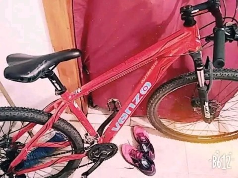 Vecina denuncia el robo de su bicicleta en el Barrio Virgen del Carmen