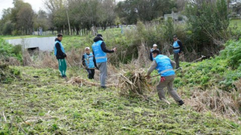 Comité de la Cuenca del Río Luján: hicieron trabajos de limpieza en un arroyo del barrio Marabó