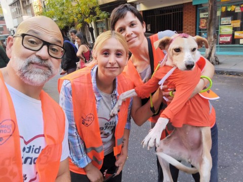 Refugio de animales con problemas tras el temporal busca la ayuda de la comunidad