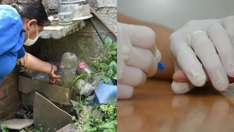 Más jornadas de descacharrado y prevención de dengue en Gral Rodríguez: cuándo y dónde serán