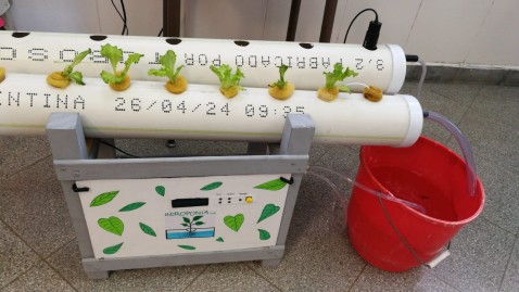 El particular proyecto de una escuela local que será presentado en una feria provincial de Ciencia y Tecnología