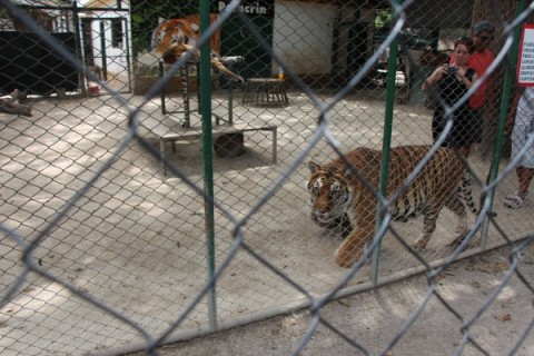 Diputado bonaerense pone el ojo sobre el Zoológico de Luján: su presentación en la Legislatura