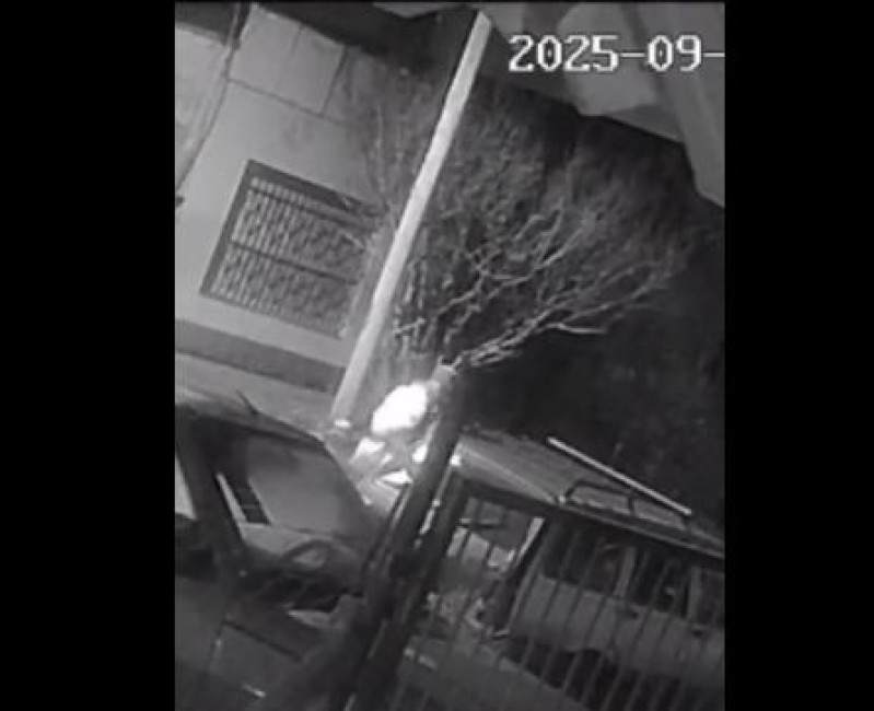 Video: desde el interior de su casa vio cómo en segundos le robaron el auto que usa para trabajar