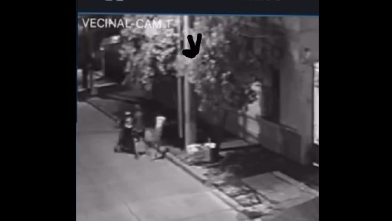 Video: la pesadilla que vivi&oacute; una joven que se salv&oacute; "de milagro" de ser asaltada por tres menores de edad