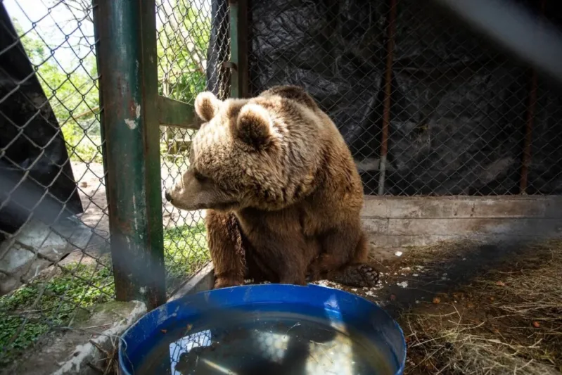 La conmovedora historia de uno de los animales m&aacute;s emblem&aacute;ticos del zoo de Luj&aacute;n