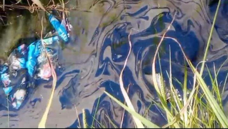 Vecinos de un barrio rodriguense acusan a una empresa por vertido de l&iacute;quidos contaminantes