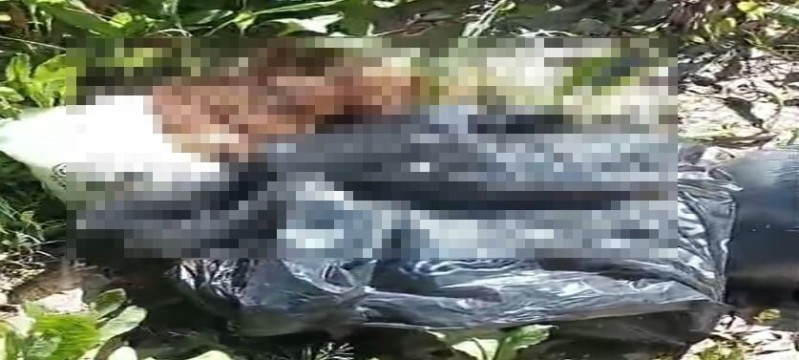 Video: otra vez aparecieron animales muertos en las adyacencias del Monte del Hospital