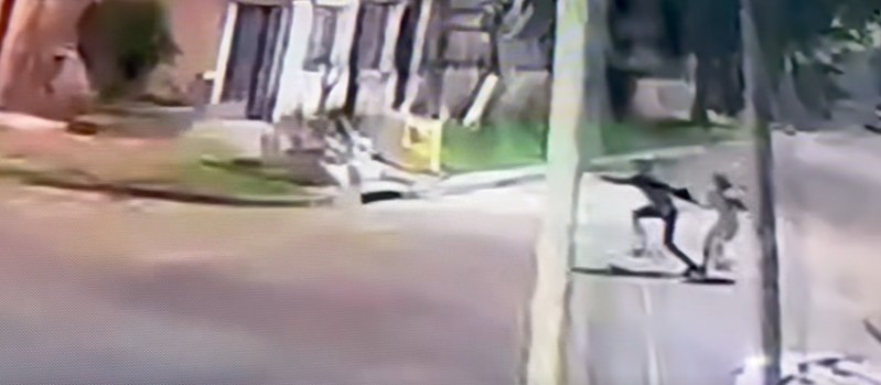 Video: violento robo a una docente por motochorros que la persiguieron y la arrinconaron