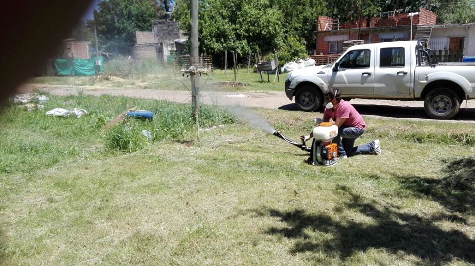 panal-de-abejas-2