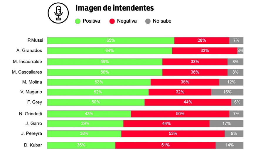 grafica-encuesta