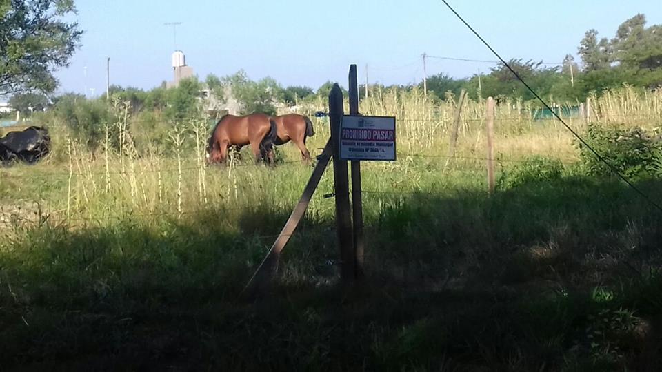 usurpaciones-sec-seguridad-2