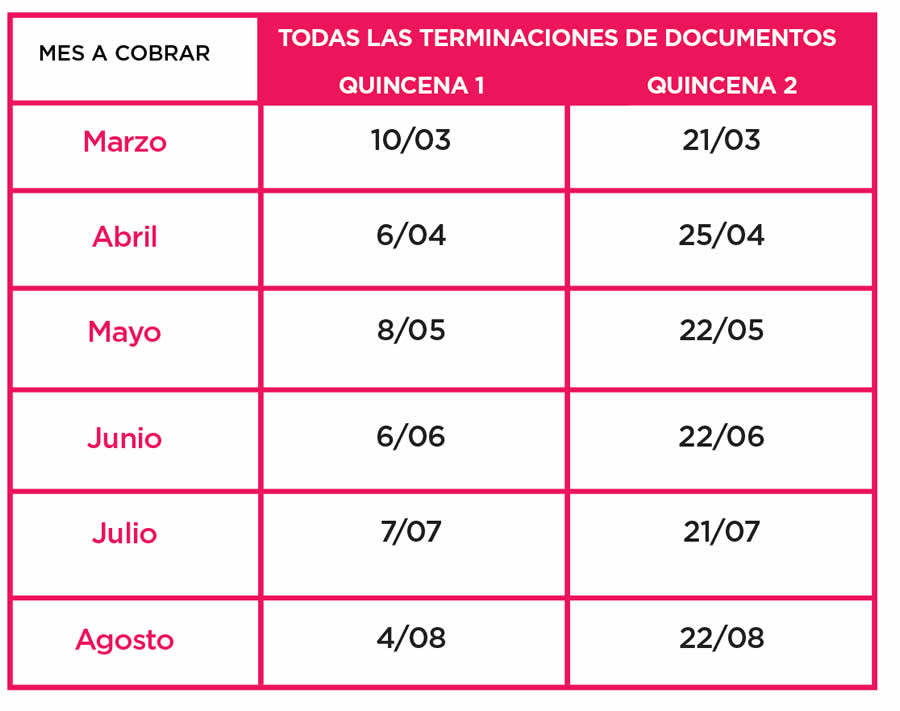 anses-calendario-seis-meses-asig-pago-unico