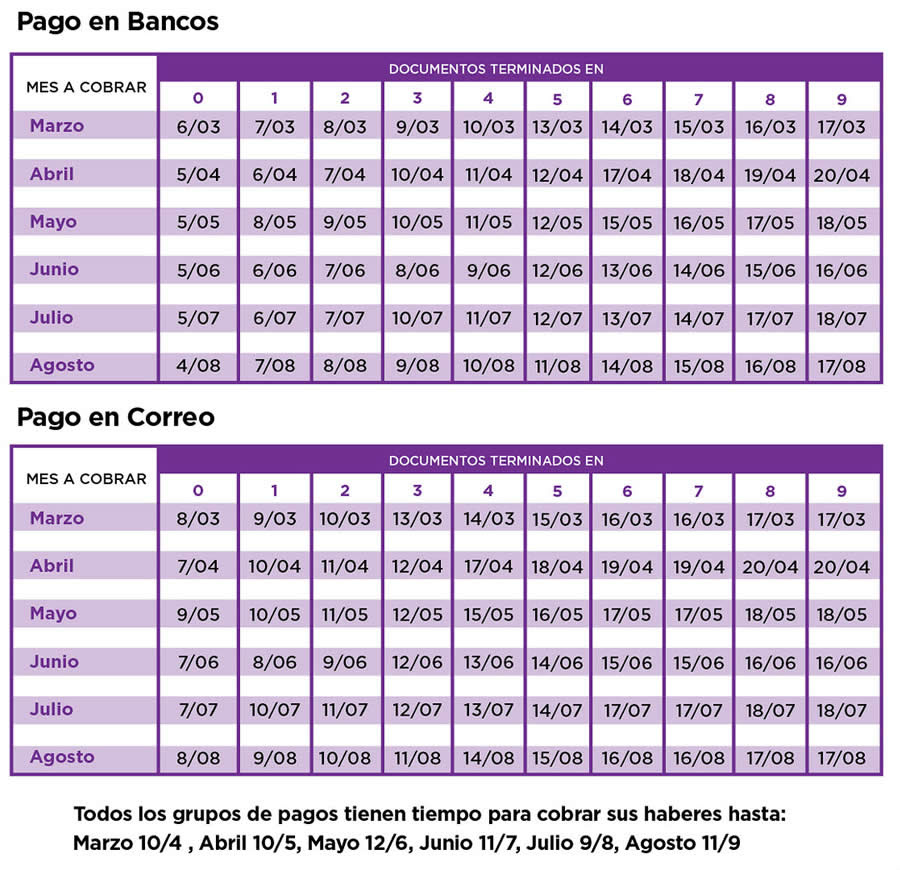 anses-calendario-seis-meses-auh