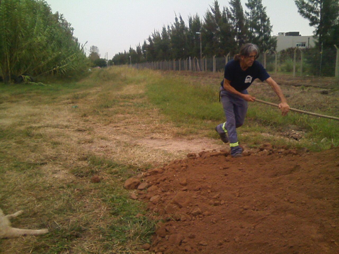 los-aromos-rellena-con-tierra-2