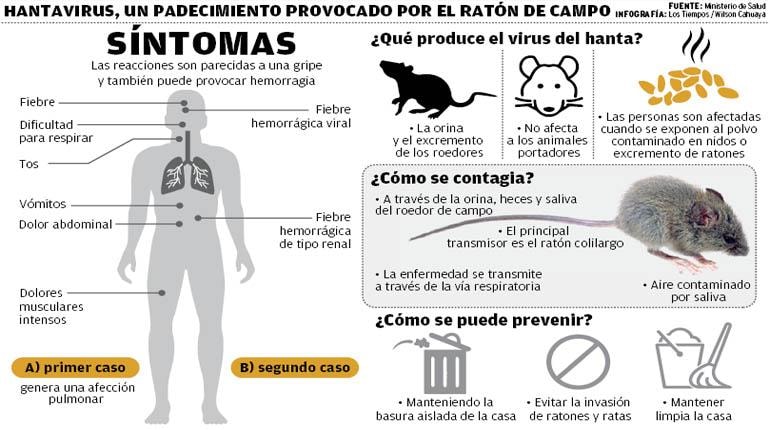 hantavirus-cartel-explicativo