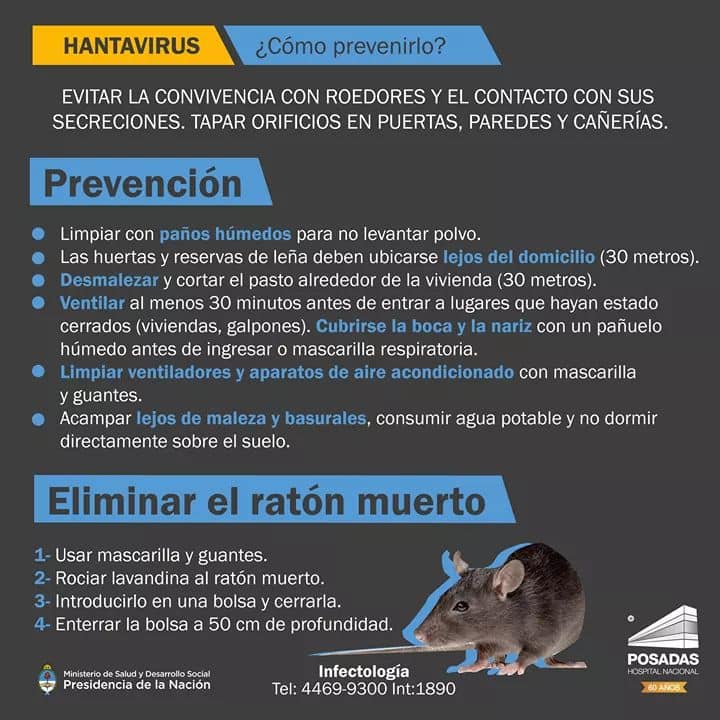 hantavirus-prevencion-raton