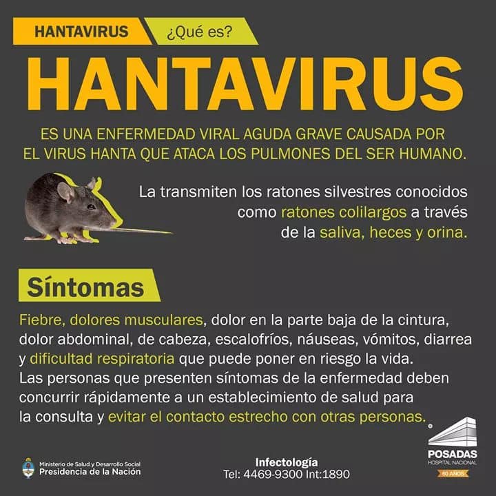 hantavirus-que-es-sintomas