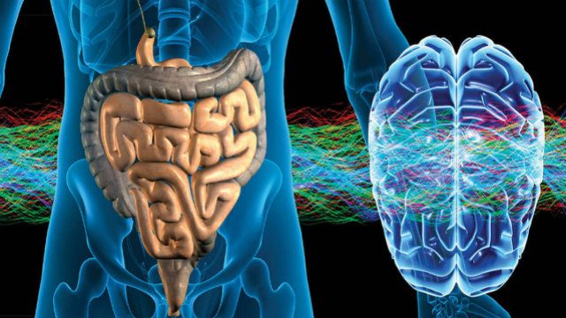 intestino-cerebro-640x360