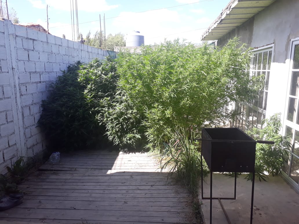 allanamiento-ruso-50-kilos-marihuana-santa-brigida-1