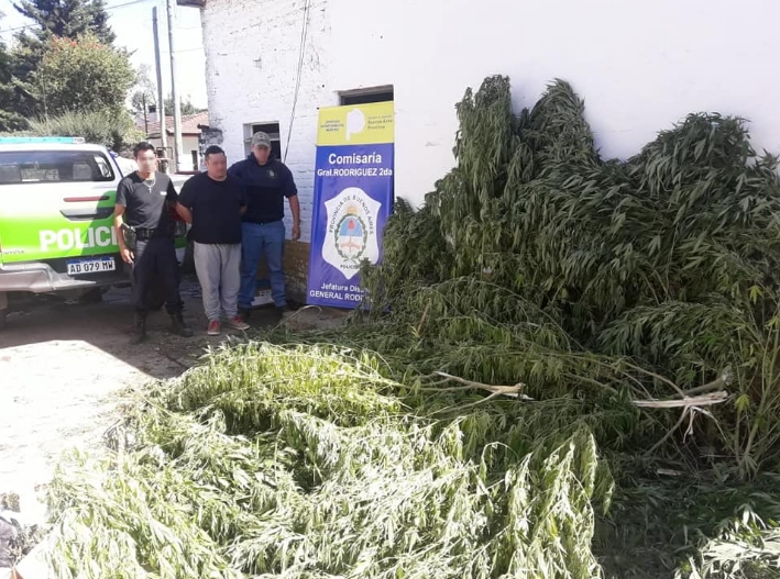 allanamiento-ruso-50-kilos-marihuana-santa-brigida-6