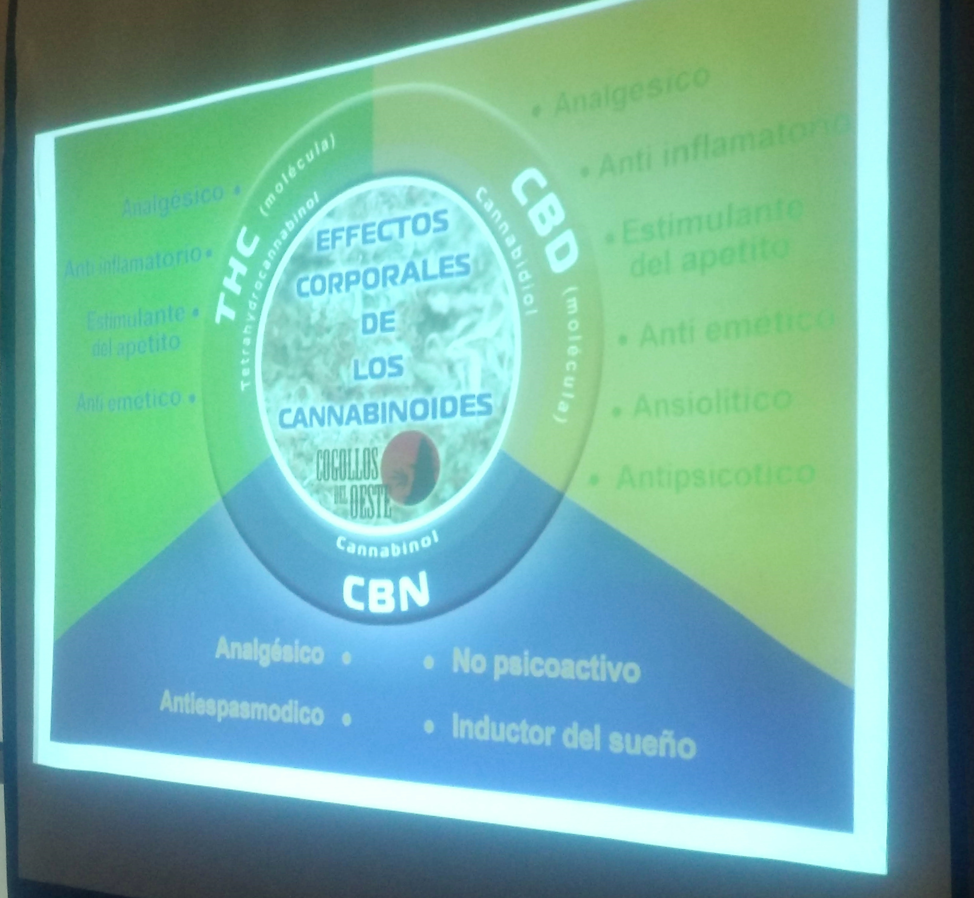 charla-cannabis-terapeutico-hcd-gral-rodriguez-4