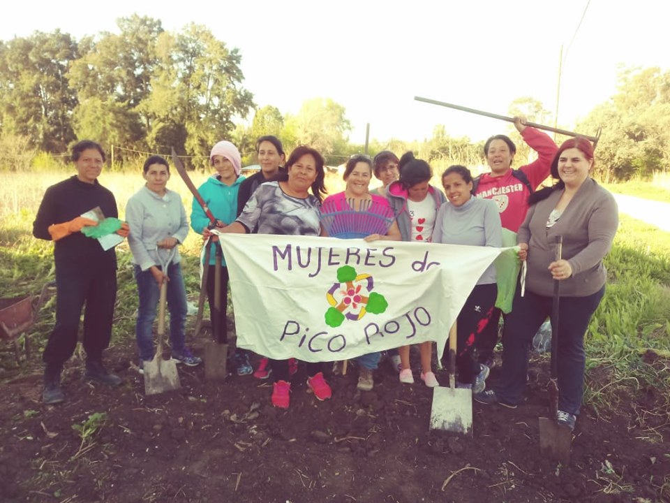 dia-mundial-limpieza-mujeres-pico-rojo-2