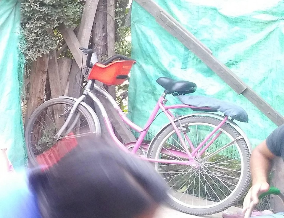 bicicleta-robada-en-maravillas-del-oeste