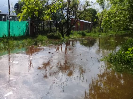 temporal-octubre-belgrano-los-aromos