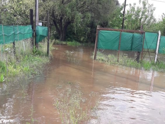 temporal-octubre-libertad-los-aromos