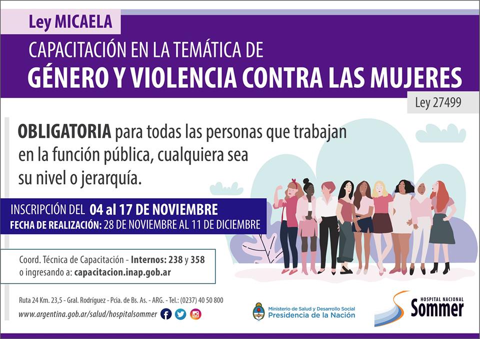 capacitacion-violencia-genero-sommer