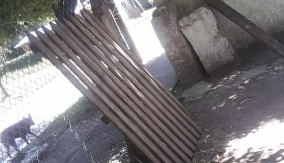denuncia-abuso-y-abandono-nena-agua-de-oro-1