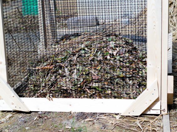 cubo-de-compost