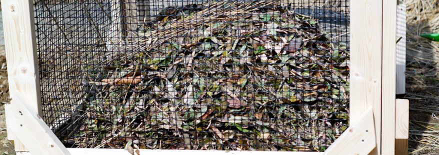 cubo-de-compost