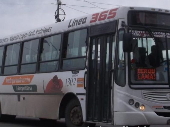 colectivo-365-2