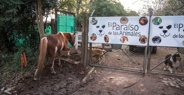 paraiso-de-los-animales