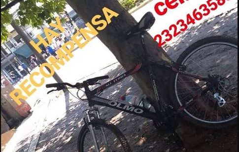 robo-bicicleta-olmo-centro