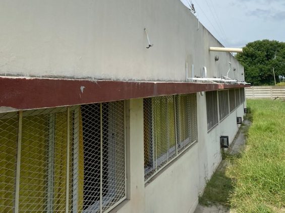 robo-jardin-marabo-1