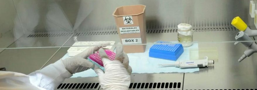 coronavirus-estudio