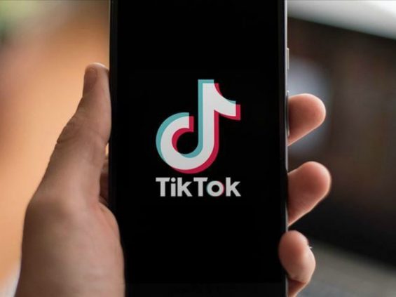 tiktok-ciberseguridad-1