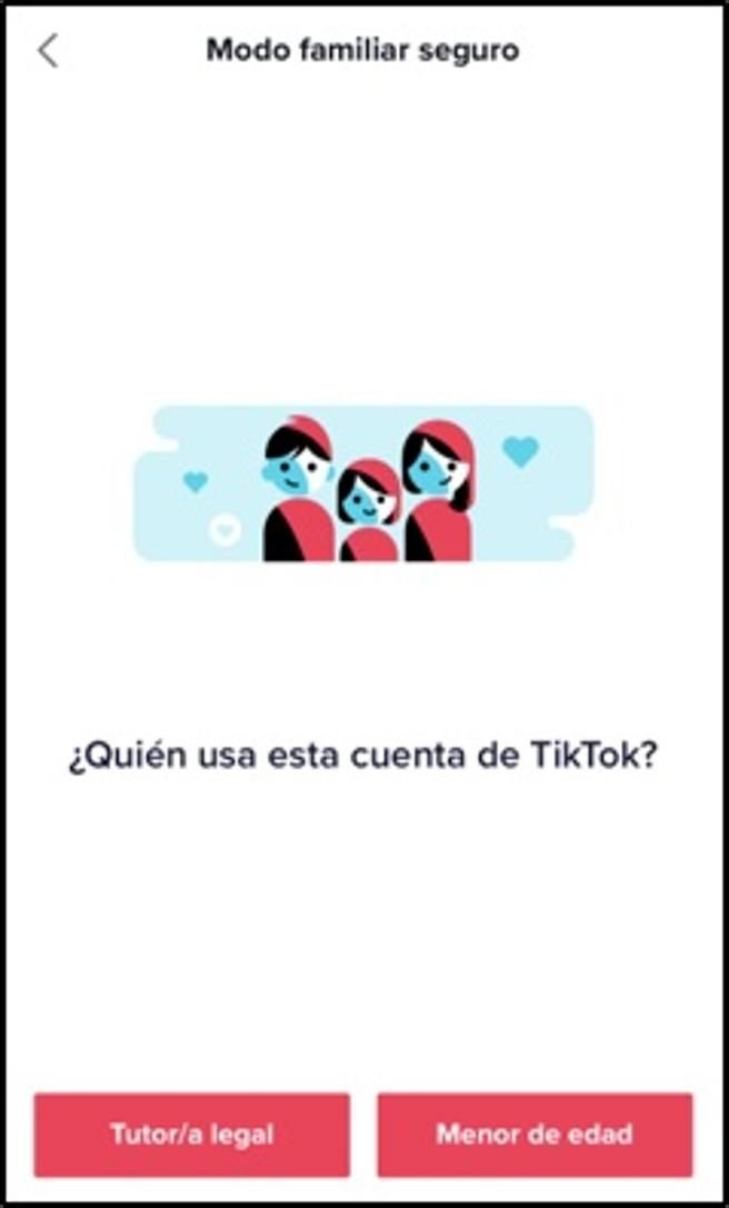 tiktok-ciberseguridad-2