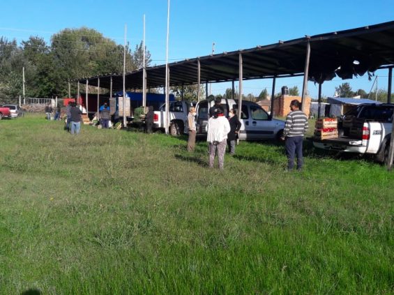 mercado-concentrador-frutihorticola