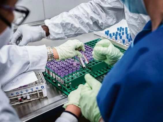 plasma convaleciente covid-19 paciente recuperado